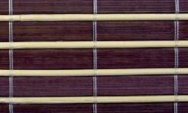 bambus_C1C